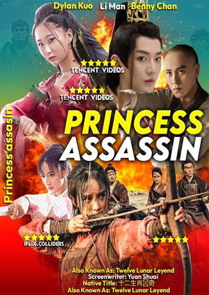 Princess Assassin - Luganda Translated Movie