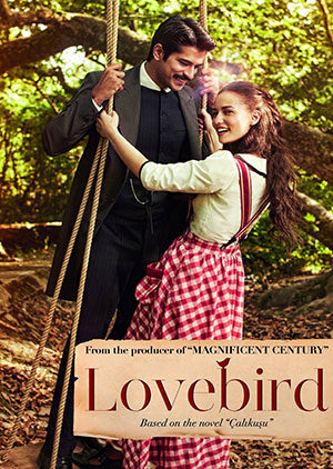 Love Bird - Episode 24 - Luganda